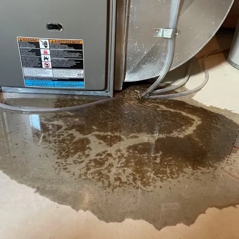 Appliance Leak Cleanup in Severance, CO